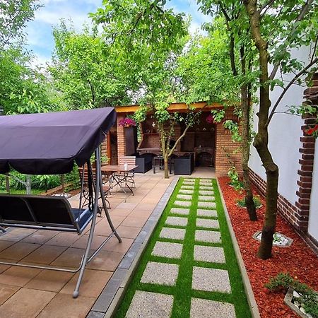 Cozy House With Nice Garden In Heart Of City Center Βίλα Κλουζ-Ναπόκα Εξωτερικό φωτογραφία