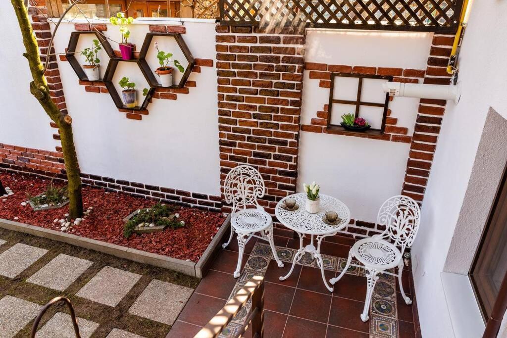 Cozy House With Nice Garden In Heart Of City Center Βίλα Κλουζ-Ναπόκα Εξωτερικό φωτογραφία