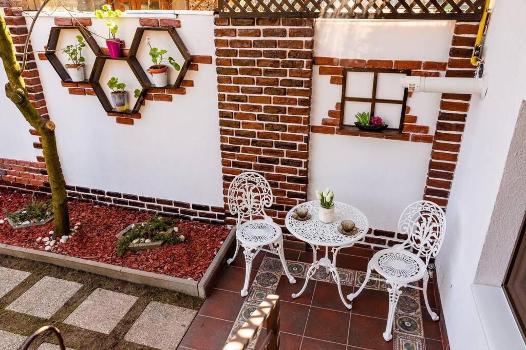Cozy House With Nice Garden In Heart Of City Center Βίλα Κλουζ-Ναπόκα Εξωτερικό φωτογραφία