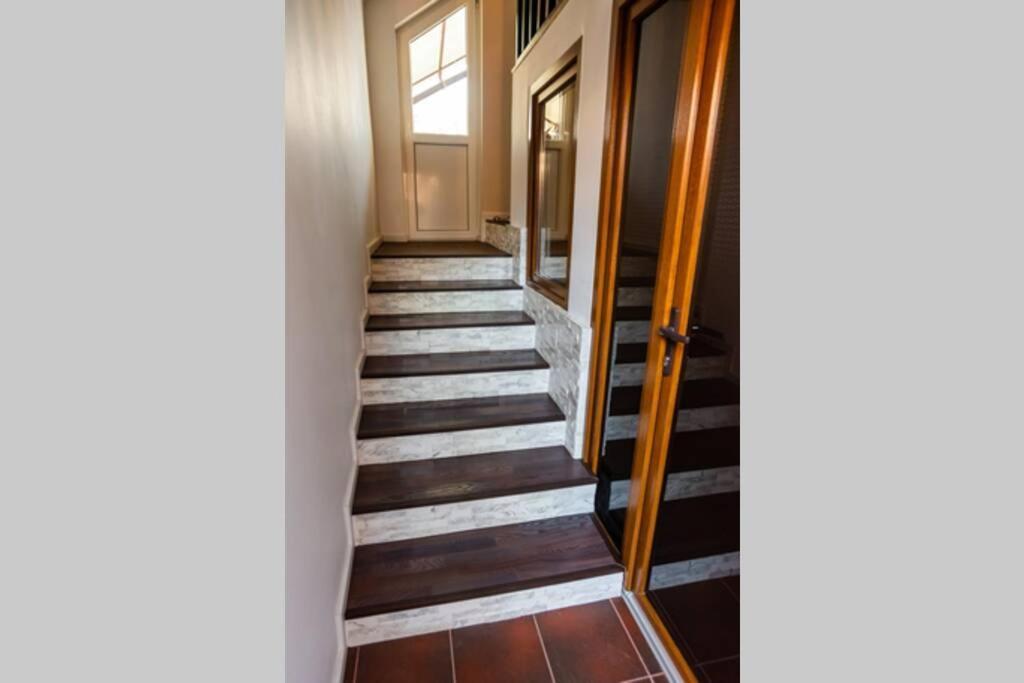 Cozy House With Nice Garden In Heart Of City Center Βίλα Κλουζ-Ναπόκα Εξωτερικό φωτογραφία