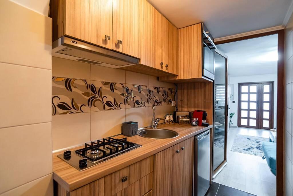 Cozy House With Nice Garden In Heart Of City Center Βίλα Κλουζ-Ναπόκα Εξωτερικό φωτογραφία