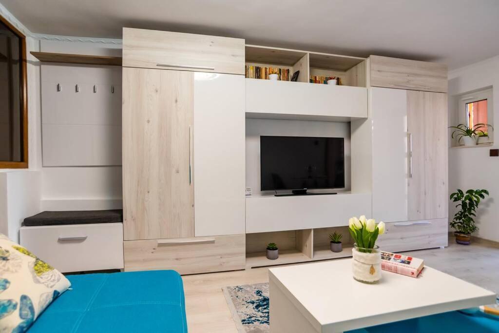Cozy House With Nice Garden In Heart Of City Center Βίλα Κλουζ-Ναπόκα Εξωτερικό φωτογραφία