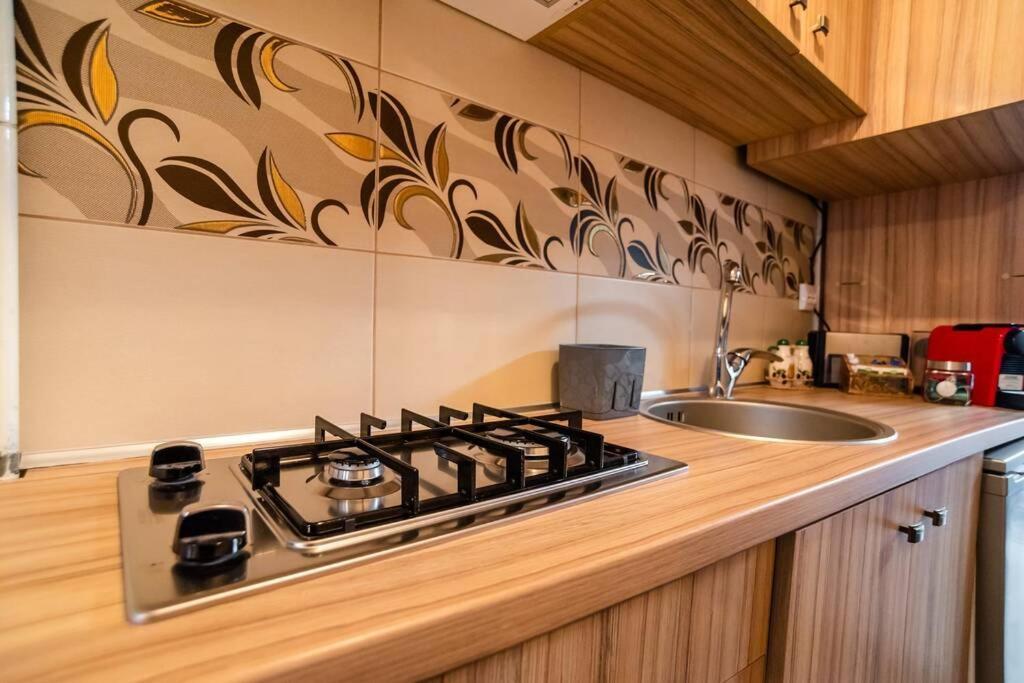 Cozy House With Nice Garden In Heart Of City Center Βίλα Κλουζ-Ναπόκα Εξωτερικό φωτογραφία