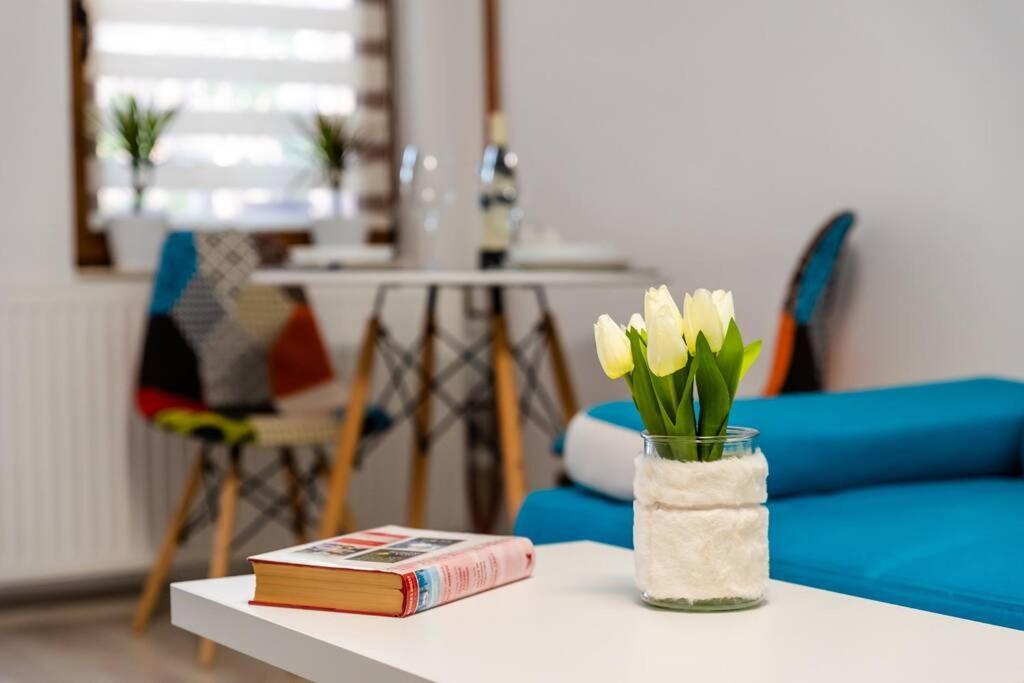Cozy House With Nice Garden In Heart Of City Center Βίλα Κλουζ-Ναπόκα Εξωτερικό φωτογραφία