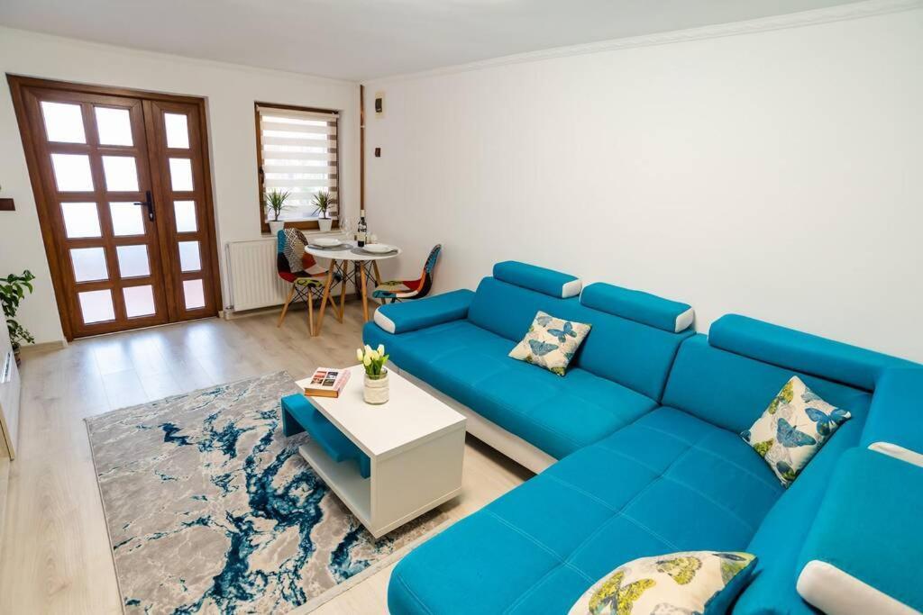 Cozy House With Nice Garden In Heart Of City Center Βίλα Κλουζ-Ναπόκα Εξωτερικό φωτογραφία