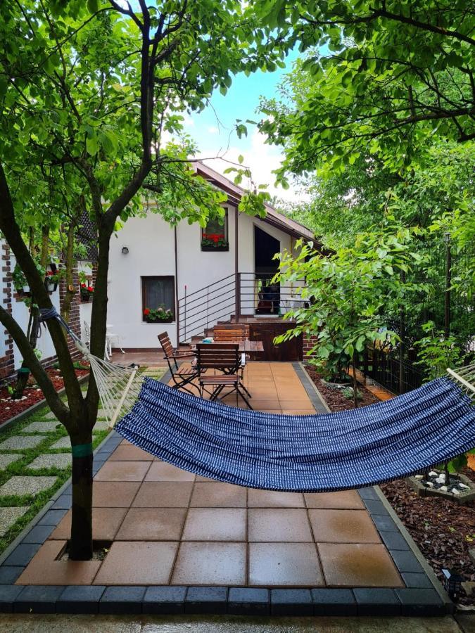 Cozy House With Nice Garden In Heart Of City Center Βίλα Κλουζ-Ναπόκα Εξωτερικό φωτογραφία