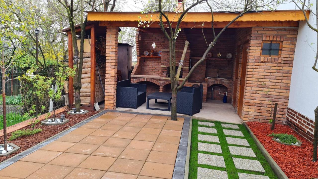 Cozy House With Nice Garden In Heart Of City Center Βίλα Κλουζ-Ναπόκα Εξωτερικό φωτογραφία
