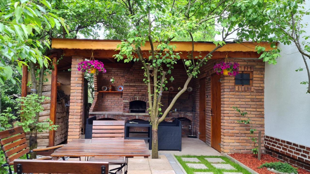 Cozy House With Nice Garden In Heart Of City Center Βίλα Κλουζ-Ναπόκα Εξωτερικό φωτογραφία
