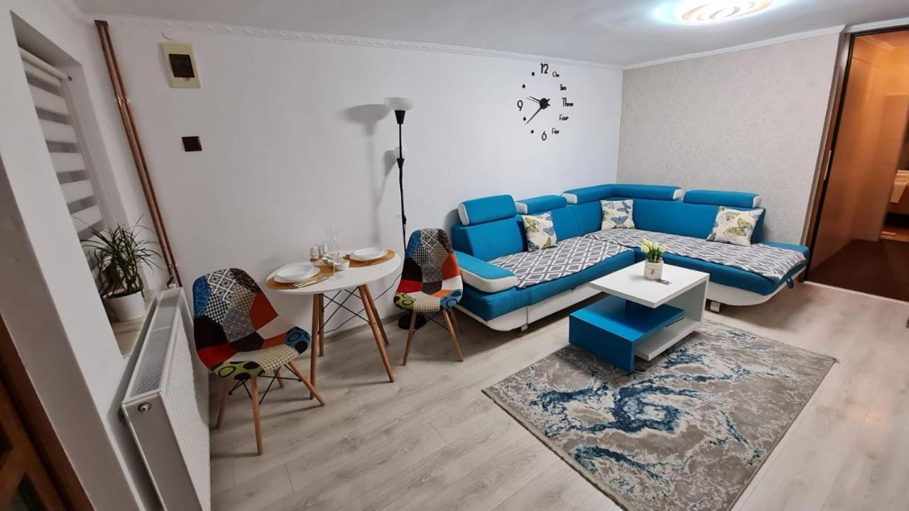 Cozy House With Nice Garden In Heart Of City Center Βίλα Κλουζ-Ναπόκα Εξωτερικό φωτογραφία