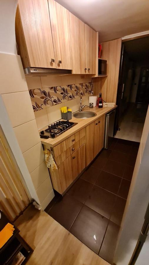 Cozy House With Nice Garden In Heart Of City Center Βίλα Κλουζ-Ναπόκα Εξωτερικό φωτογραφία