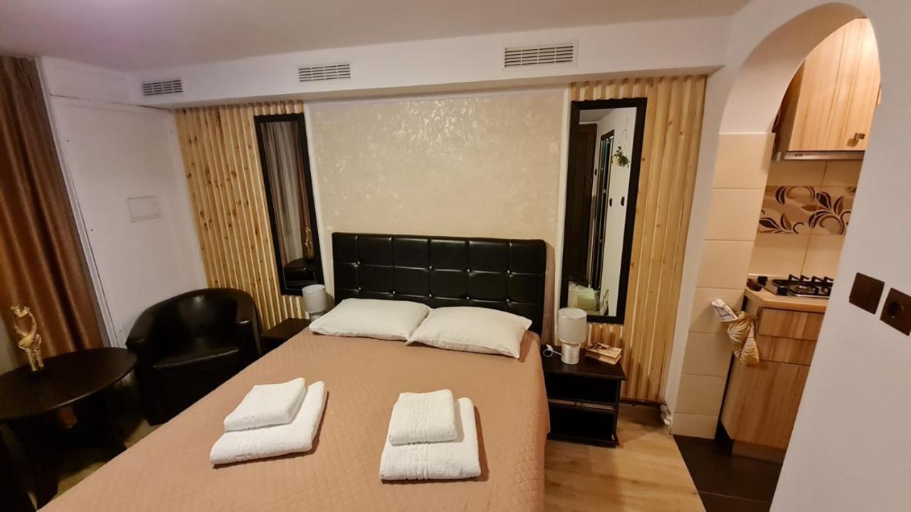 Cozy House With Nice Garden In Heart Of City Center Βίλα Κλουζ-Ναπόκα Εξωτερικό φωτογραφία